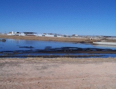 Beginning Cleanup of Dairy Lagoon