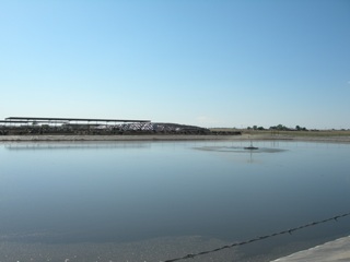 Dairy Lagoon During Treatment