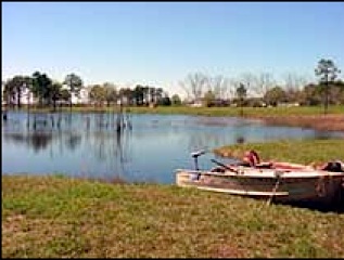 Restored Dairy Lagoon